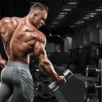 Prise de muscle