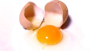 fitness oeuf
