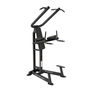 Banc Tractions Dips PTT0219F Etenon Fitness